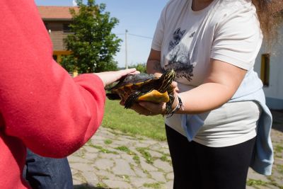  fotka č. 4