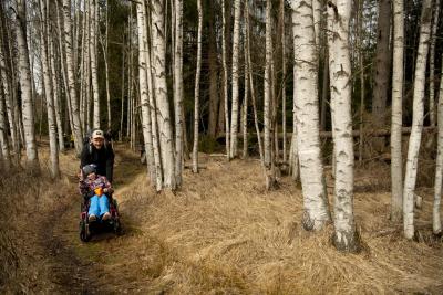 Soumarské rašeliniště