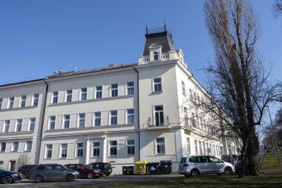 Topolka - pohled ze zadu