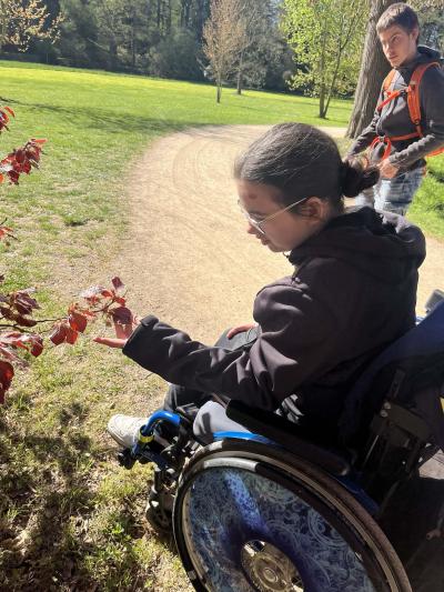 Zámecký park v Průhonicích